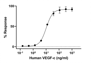 Biochemical assay - Recombinant Human VEGFC protein (Active) (AB283476)