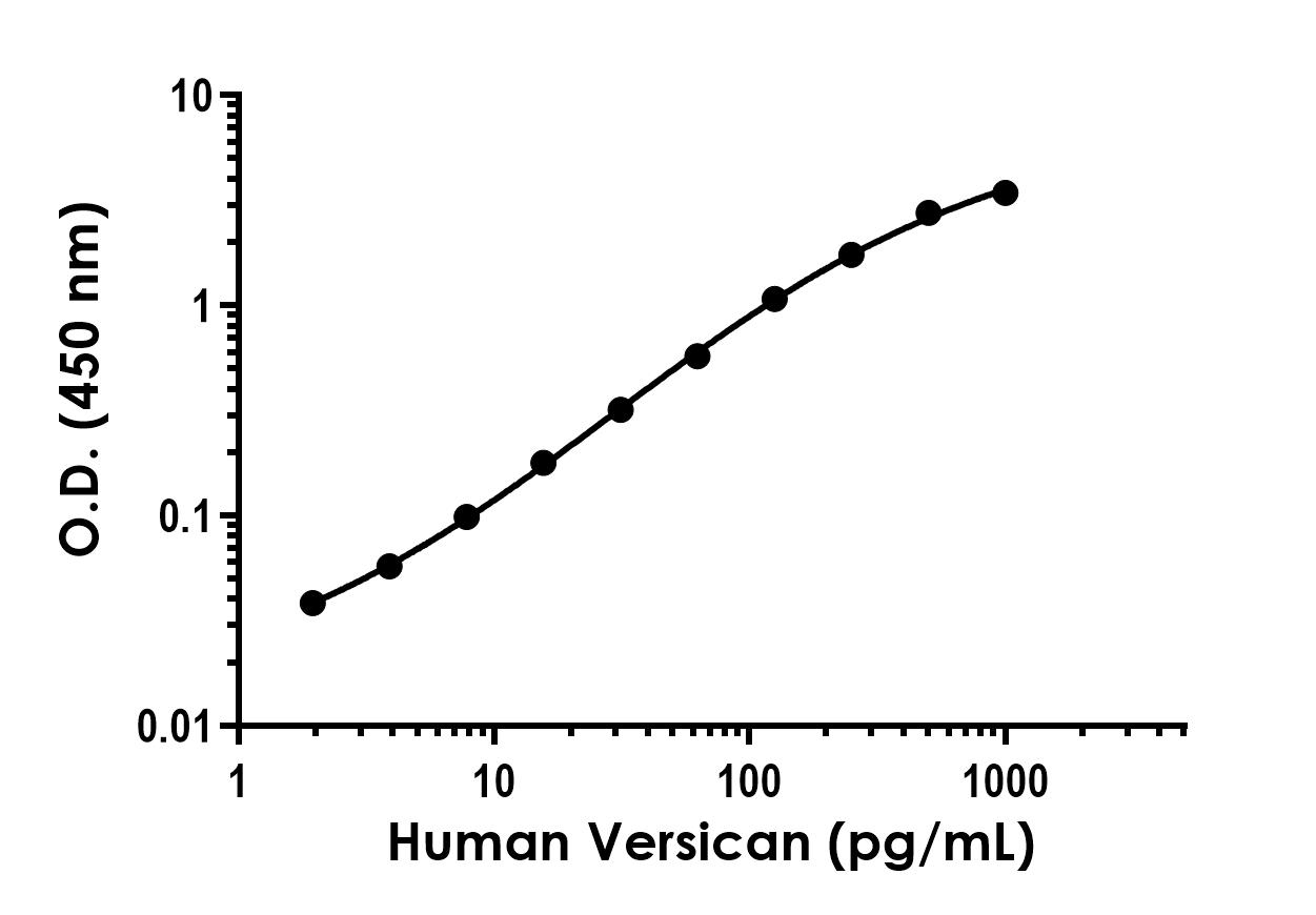 Sandwich ELISA - Recombinant Human Versican Protein Standard (His tag) (AB322102), expandable thumbnail