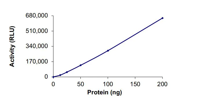 Functional Studies - Recombinant human VPS34 protein (Active) (AB268867)