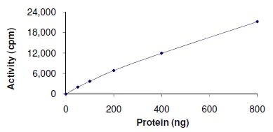Functional Studies - Recombinant human VRK1 protein (AB125555)