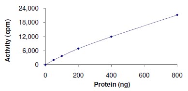 Functional Studies - Recombinant human VRK1 protein (AB125555)