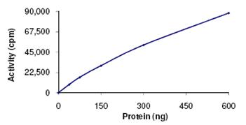 Functional Studies - Recombinant human VRK2 protein (GST tag N-Terminus) (AB107698)