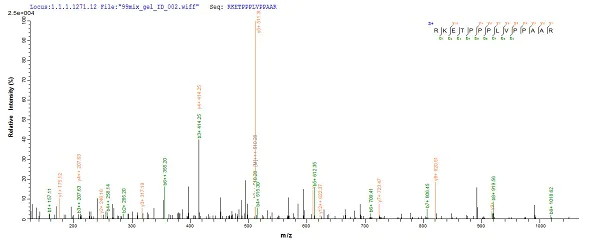 Mass Spectrometry - Recombinant Human WDR77 protein (Tagged) (AB226226)