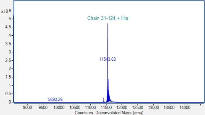 Mass Spectrometry - Recombinant Human WFDC2 Protein (His tag) (AB313361)