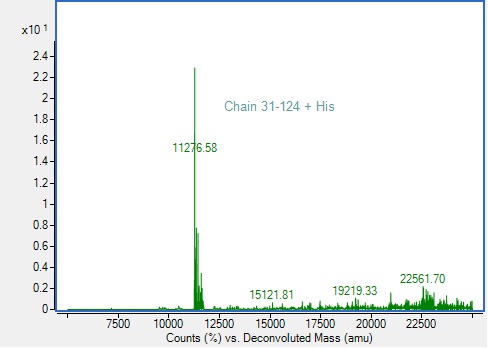 Mass Spectrometry - Recombinant Human WFDC2 Protein (His tag) (E.Coli) (AB313367), expandable thumbnail