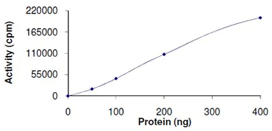 Functional Studies - Recombinant human WNK1 protein (AB105196)