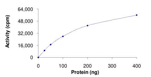 Functional Studies - Recombinant human WNK1 protein (GST tag N-Terminus) (AB177262)