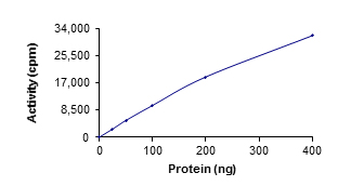 Functional Studies - Recombinant human WNK1 protein (Tagged) (AB177262)