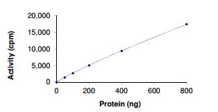 Functional Studies - Recombinant human WNK2 protein (Active) (GST tag N-Terminus) (AB205996)
