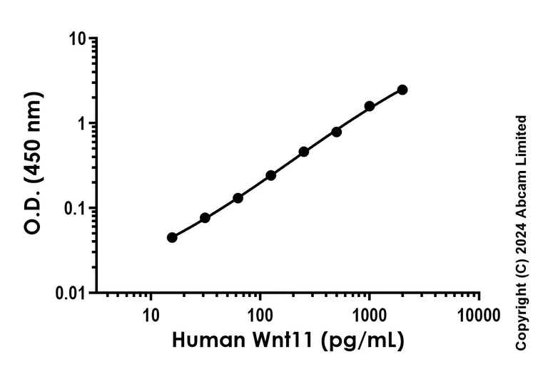 Sandwich ELISA - Recombinant Human Wnt11 Protein Standard (AB323033)