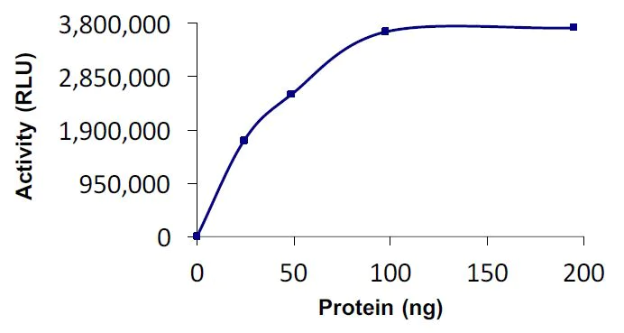 Functional Studies - Recombinant human Wwp2 protein (Active) (AB269138)