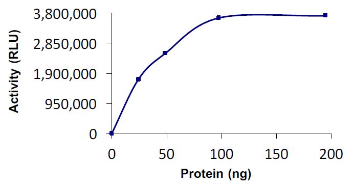 Functional Studies - Recombinant human Wwp2 protein (Active) (GST tag N-Terminus) (AB269138)
