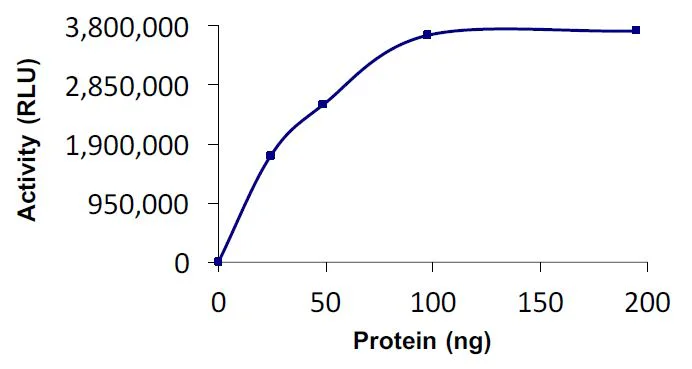 Functional Studies - Recombinant human Wwp2 protein (Active) (GST tag N-Terminus) (AB269138)