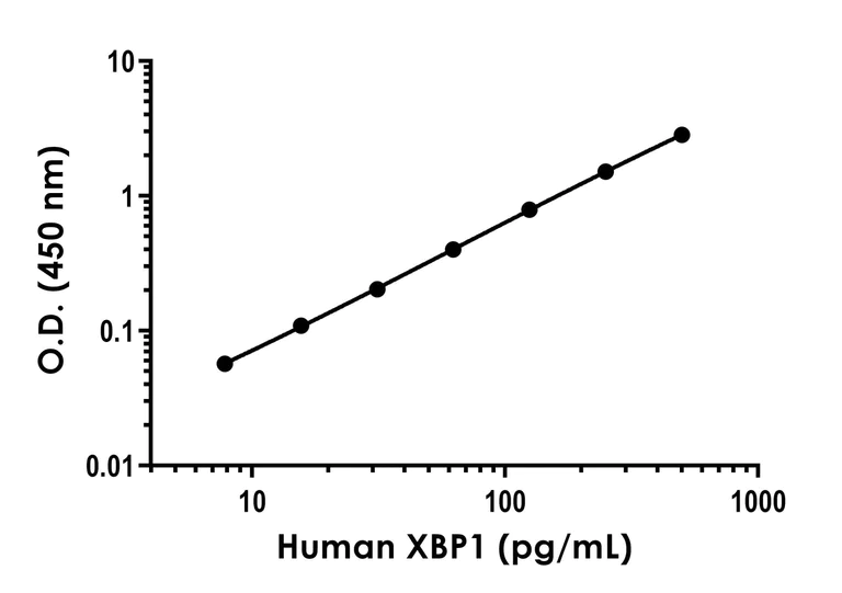 Sandwich ELISA - Recombinant Human XBP1 Protein Standard (AB316720)