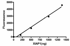 Functional Studies - Recombinant human XIAP protein (AB95933), expandable thumbnail