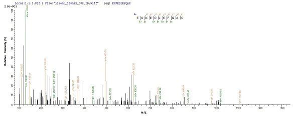 Mass Spectrometry - Recombinant Human XPC protein (His tag) (AB236173)