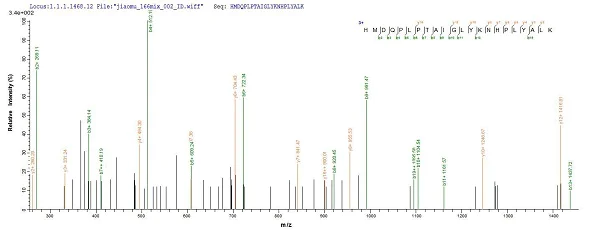 Mass Spectrometry - Recombinant Human XPC protein (His tag) (AB236173)