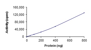 Functional Studies - Recombinant human YANK2 protein (AB125574)