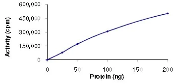 Functional Studies - Recombinant human Yes1 protein (Active) (AB101504)
