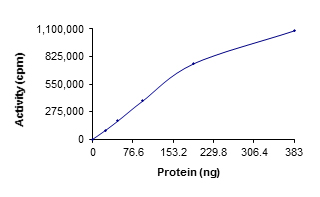 Recombinant human Yes1 protein (Active)