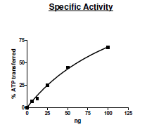 Functional Studies - Recombinant human Yes1 protein (AB196076)