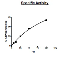 Functional Studies - Recombinant human Yes1 protein (GST tag N-Terminus) (AB196076)