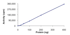 Functional Studies - Recombinant human ZAK protein (AB89852)