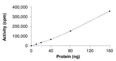 Functional Studies - Recombinant human ZAP70 (mutated Y319F) protein (AB204139), expandable thumbnail