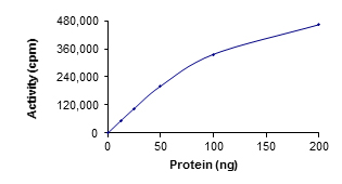 Functional Studies - Recombinant human ZAP70 protein (AB60963)