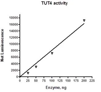 Functional Studies - Recombinant human ZCH11 protein (DDDDK tag C-Terminus) (AB271776)