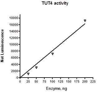 Functional Studies - Recombinant human ZCH11 protein (Tagged) (AB271776)