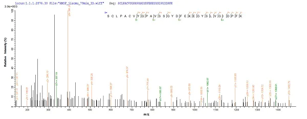 Mass Spectrometry - Recombinant Influenza A Influenza A Virus Nucleoprotein (His tag) (AB224859)