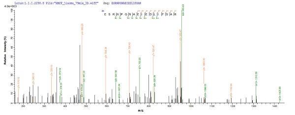 Mass Spectrometry - Recombinant Influenza A Influenza A Virus Nucleoprotein (His tag) (AB224859)