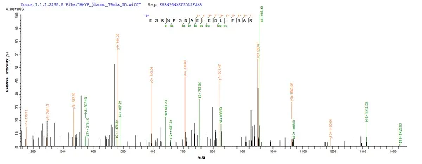 Mass Spectrometry - Recombinant Influenza A Influenza A Virus Nucleoprotein (His tag) (AB224859)