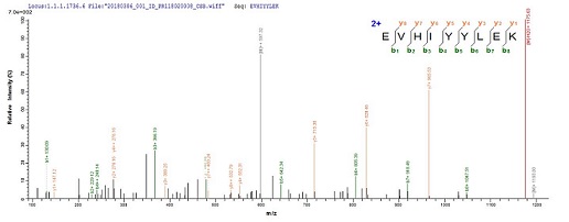 Mass Spectrometry - Recombinant Influenza A Polymerase acidic protein (His tag) (AB239539), expandable thumbnail