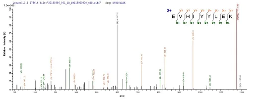 Mass Spectrometry - Recombinant Influenza A Polymerase acidic protein (His tag) (AB239539)