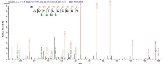 Mass Spectrometry - Recombinant Influenza A Polymerase acidic protein (His tag) (AB239539), expandable thumbnail