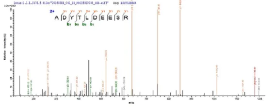 Mass Spectrometry - Recombinant Influenza A Polymerase acidic protein (His tag) (AB239539)