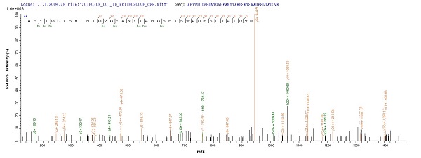 Mass Spectrometry - Recombinant kgp protein (Tagged) (AB238238)