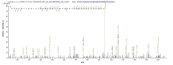 Mass Spectrometry - Recombinant kgp protein (Tagged) (AB238238)