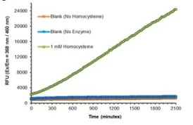 Functional Studies - Recombinant L-methionine gamma-lyase Active protein (mutated F47L + D172E + S308Y) (AB286034)