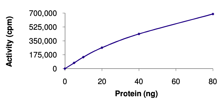 Recombinant mouse ABL1 protein (Active)