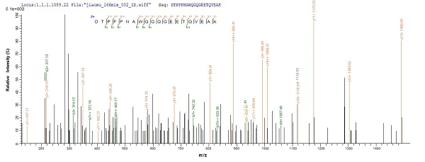 Mass Spectrometry - Recombinant Mouse AE binding protein 1 (His tag) (AB225975)