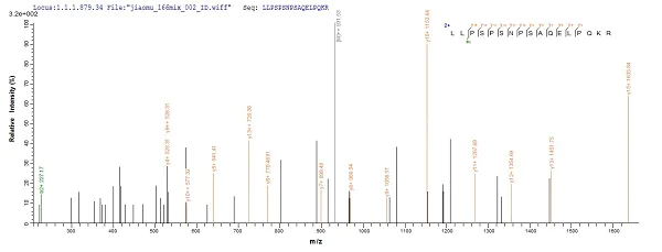 Mass Spectrometry - Recombinant Mouse AE binding protein 1 (His tag) (AB225975)