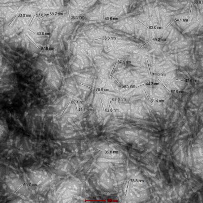 Electron Microscopy - Recombinant mouse Alpha-synuclein protein aggregate Type 1 (Active) (AB246002), expandable thumbnail