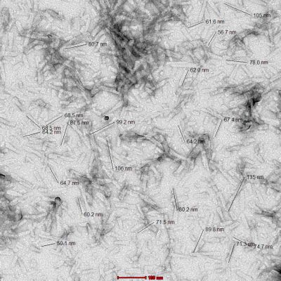 Electron Microscopy - Recombinant mouse Alpha-synuclein protein aggregate Type 1 (Active) (AB246002), expandable thumbnail