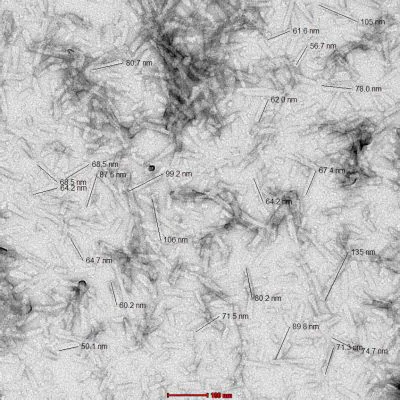 Electron Microscopy - Recombinant mouse Alpha-synuclein protein aggregate Type 1 (Active) (AB246002)