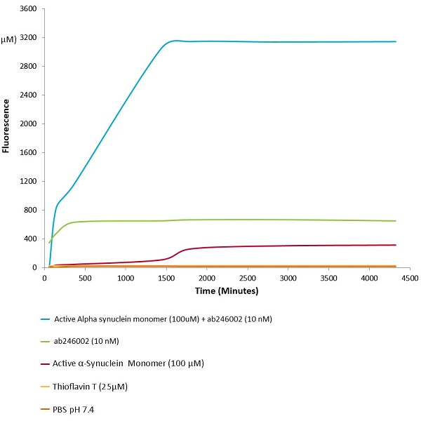 Functional Studies - Recombinant mouse Alpha-synuclein protein aggregate Type 1 (Active) (AB246002), expandable thumbnail