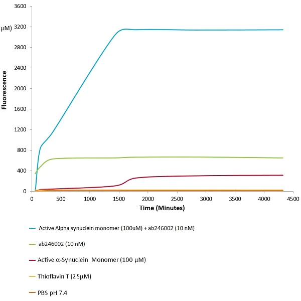 Functional Studies - Recombinant mouse Alpha-synuclein protein aggregate Type 1 (Active) (AB246002)