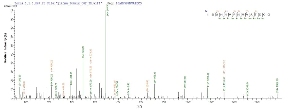 Mass Spectrometry - Recombinant Mouse AMH protein (AB235617)